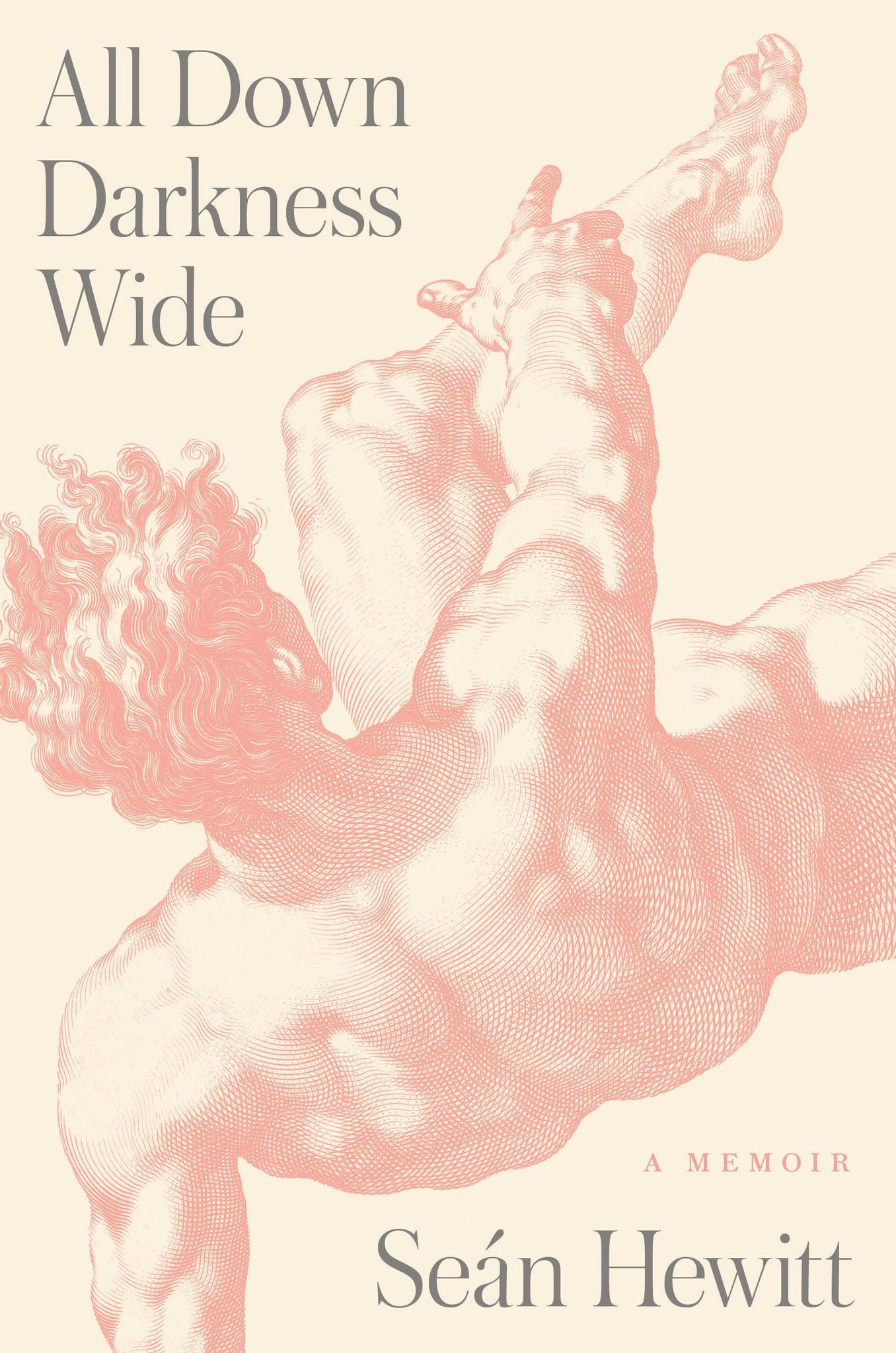 All Down Darkness Wide: A Memoir - ShopQueer.co